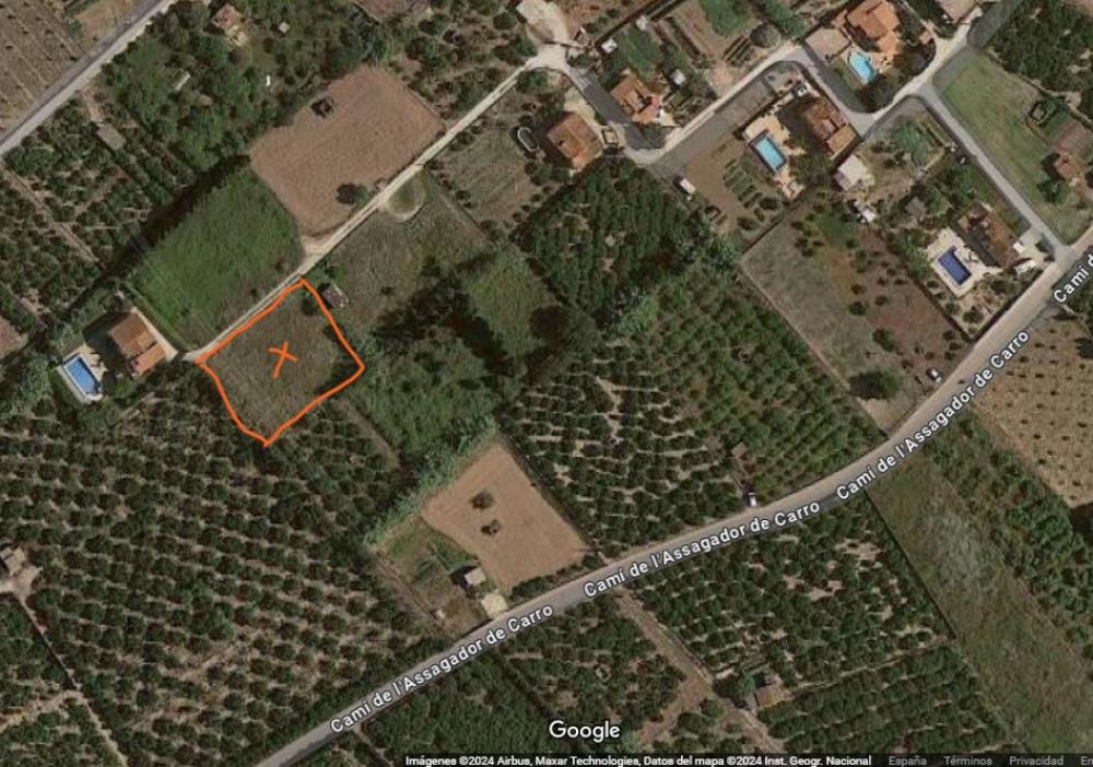  à vendre terrain Platja D'oliva Safor 1