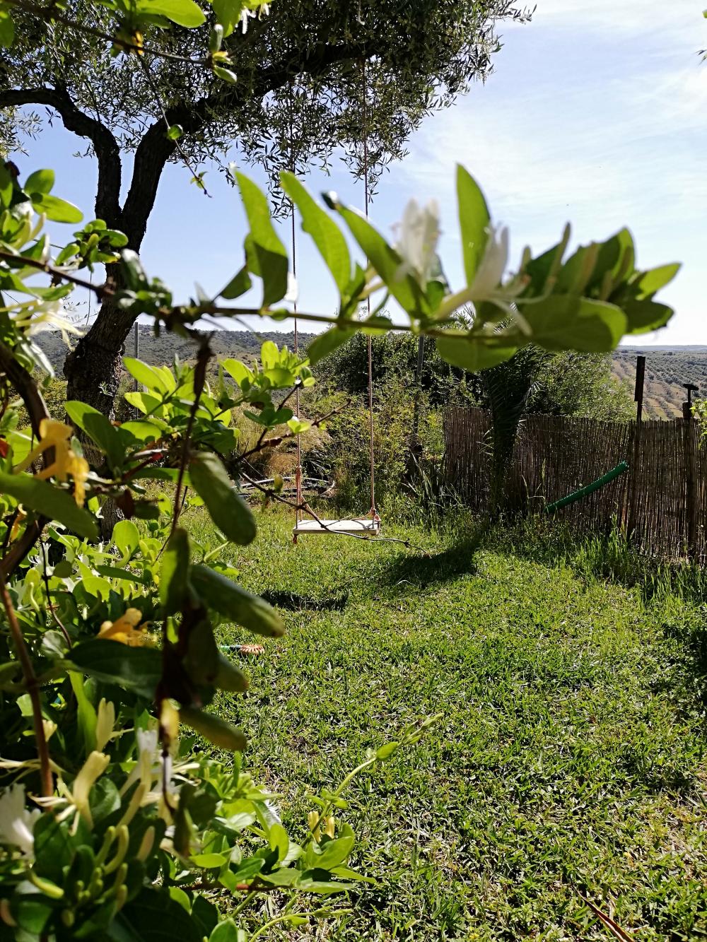  à vendre maison de campagne Villanueva Del Río Y Minas Vega Del Guadalquivir 15