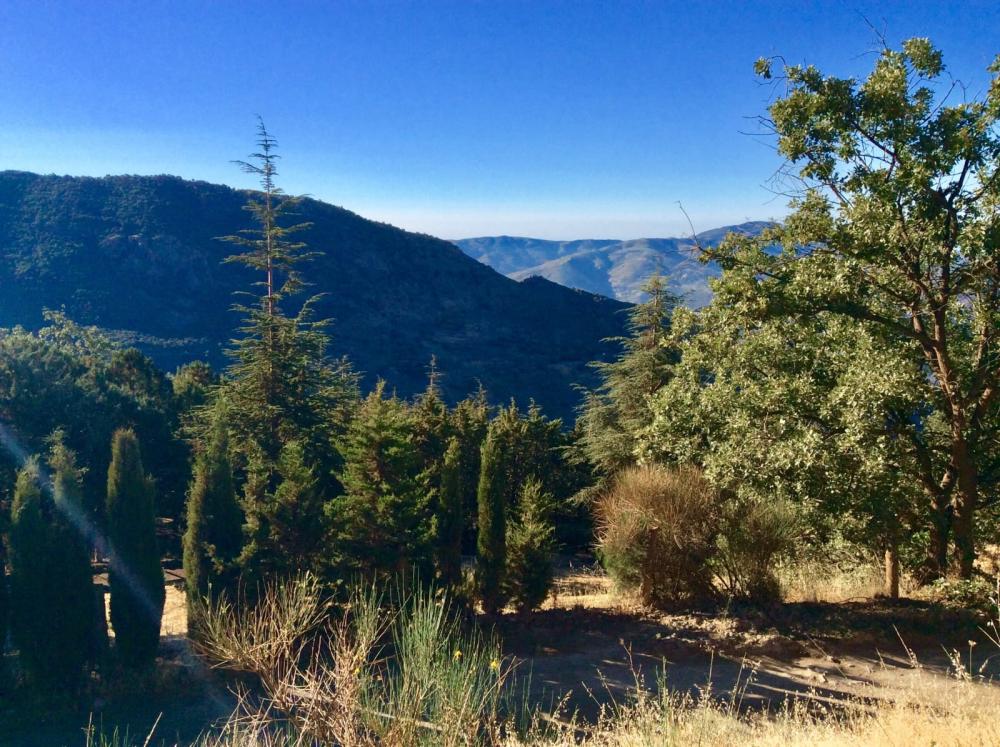 à vendre maison de campagne Pampaneira Alpujarra Granadina 26