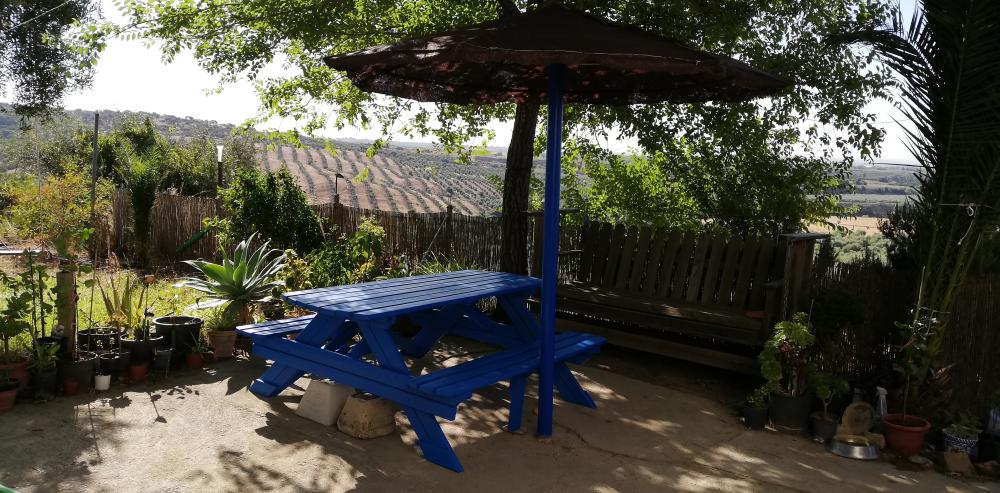  à vendre maison de campagne Villanueva Del Río Y Minas Vega Del Guadalquivir 29