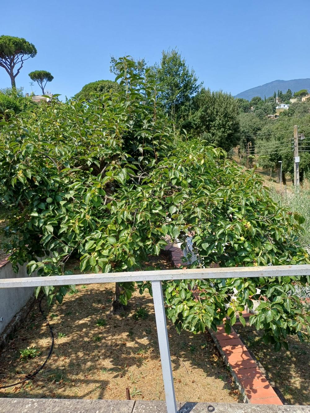  à vendre maison Riells I Viabrea Selva 9