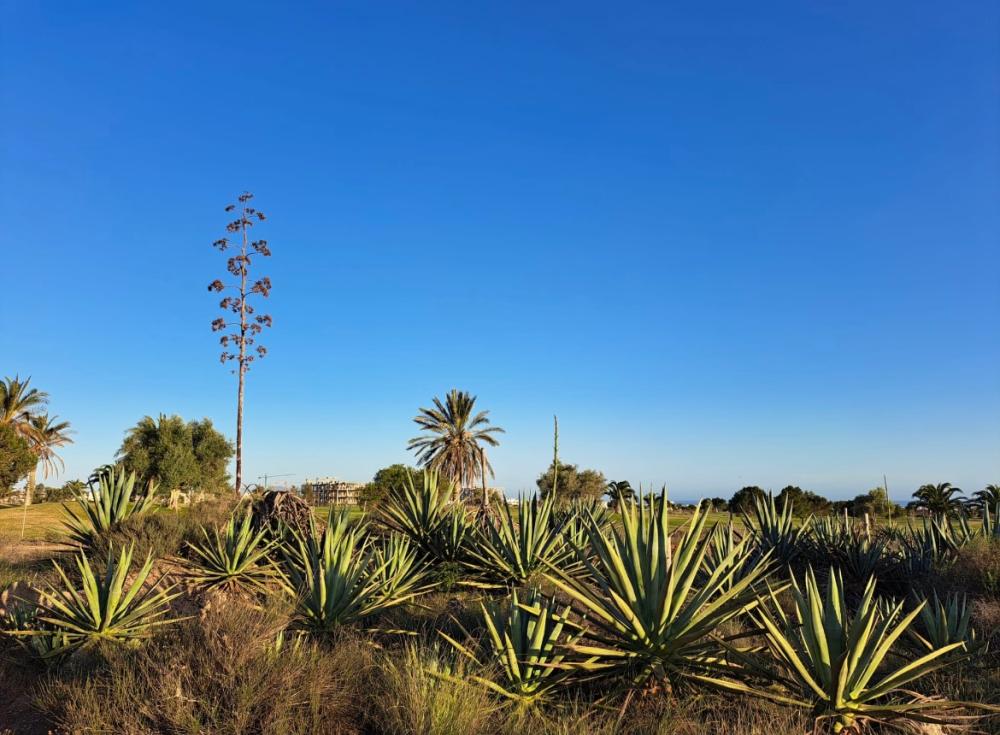 à vendre villa Retamar Comarca Metropolitana De Almería 35