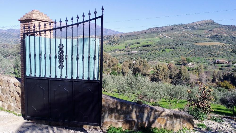  à vendre maison de campagne Monda Sierra De Las Nieves 34