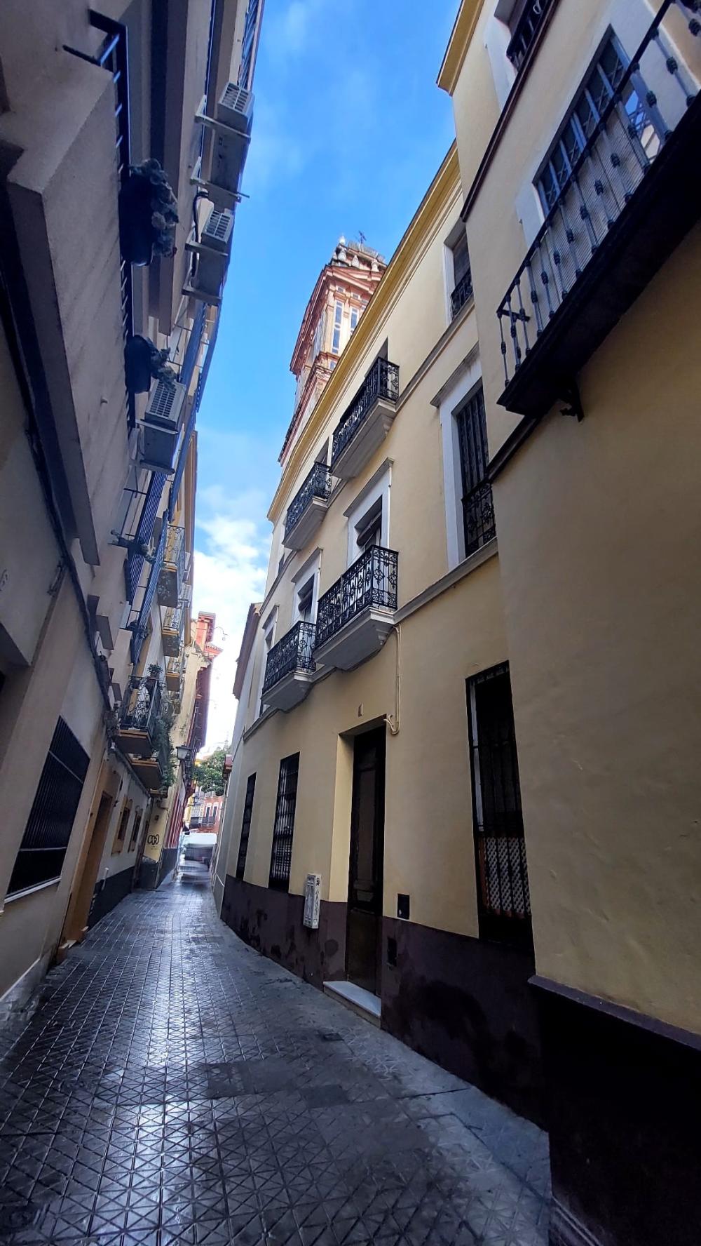  à vendre appartement Sevilla Casco Antiguo 41003 Metropolitana De Sevilla 43