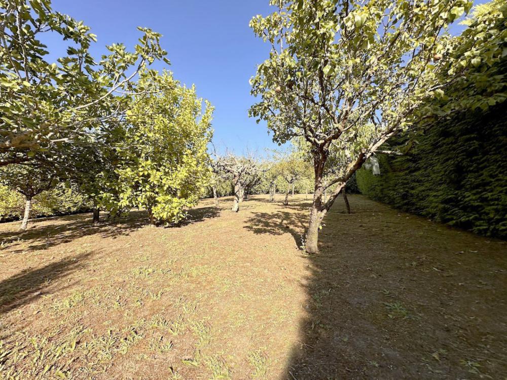  à vendre maison A Barcia Santiago 27