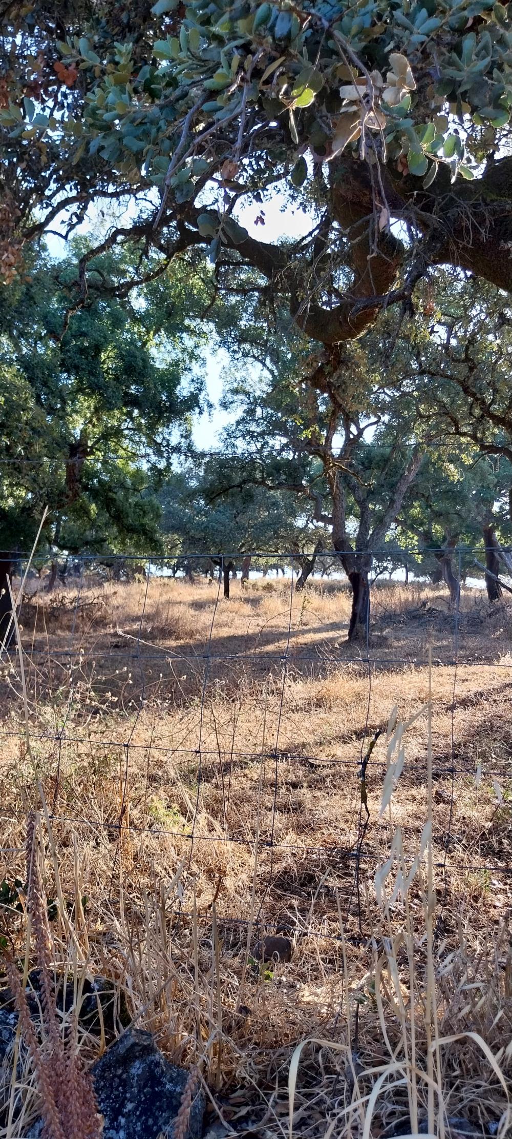  à vendre maison de campagne Valdezufre Sierra De Huelva 2