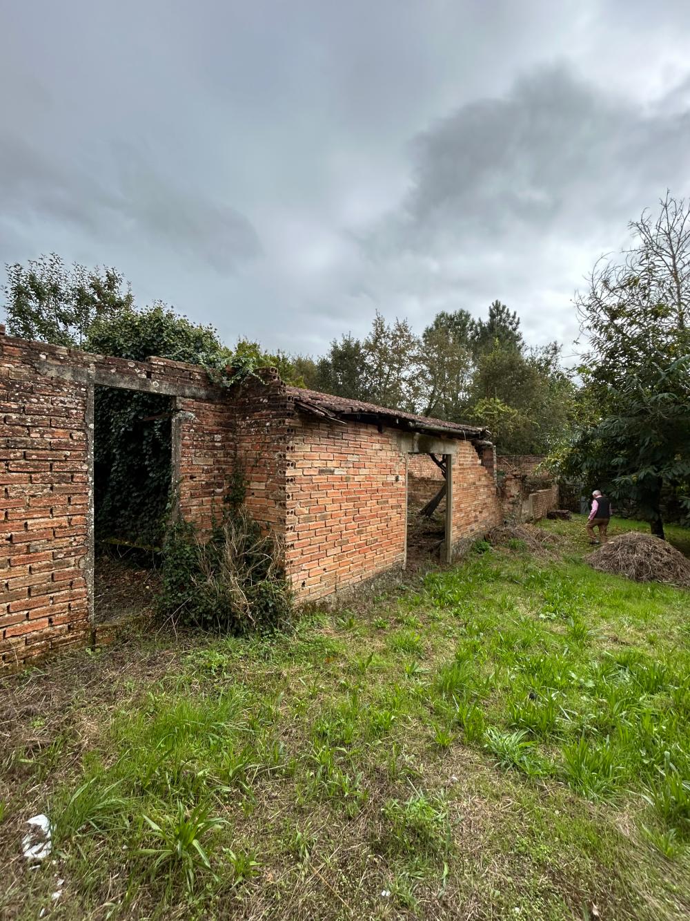  à vendre maison A Teixeira Terra Da Celanova 24
