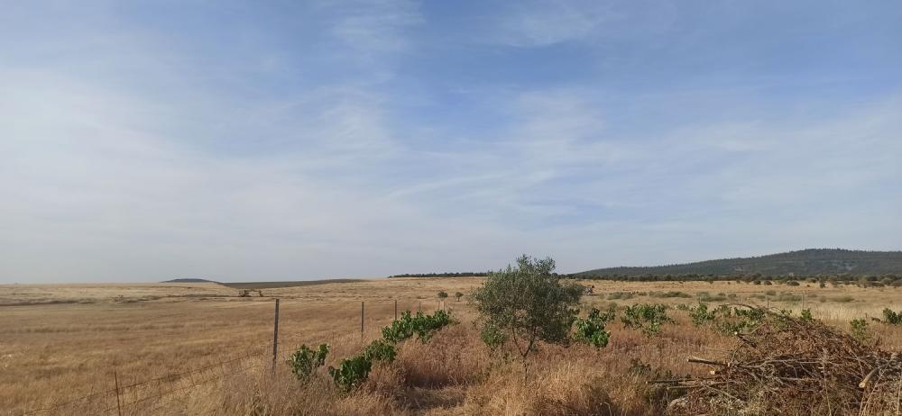  à vendre maison de campagne Mirandilla Merida 17
