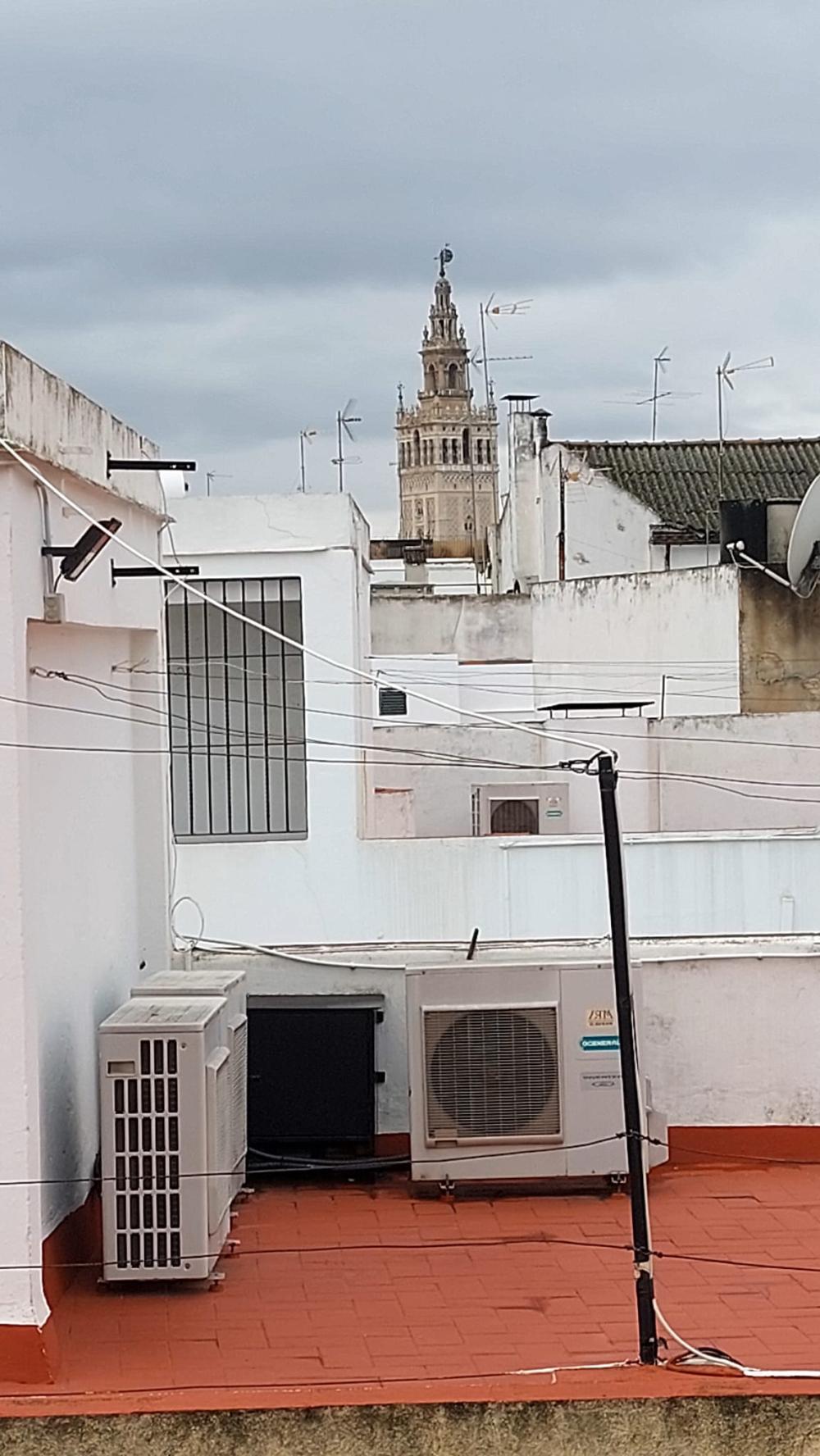  à vendre appartement Sevilla Casco Antiguo 41003 Metropolitana De Sevilla 8