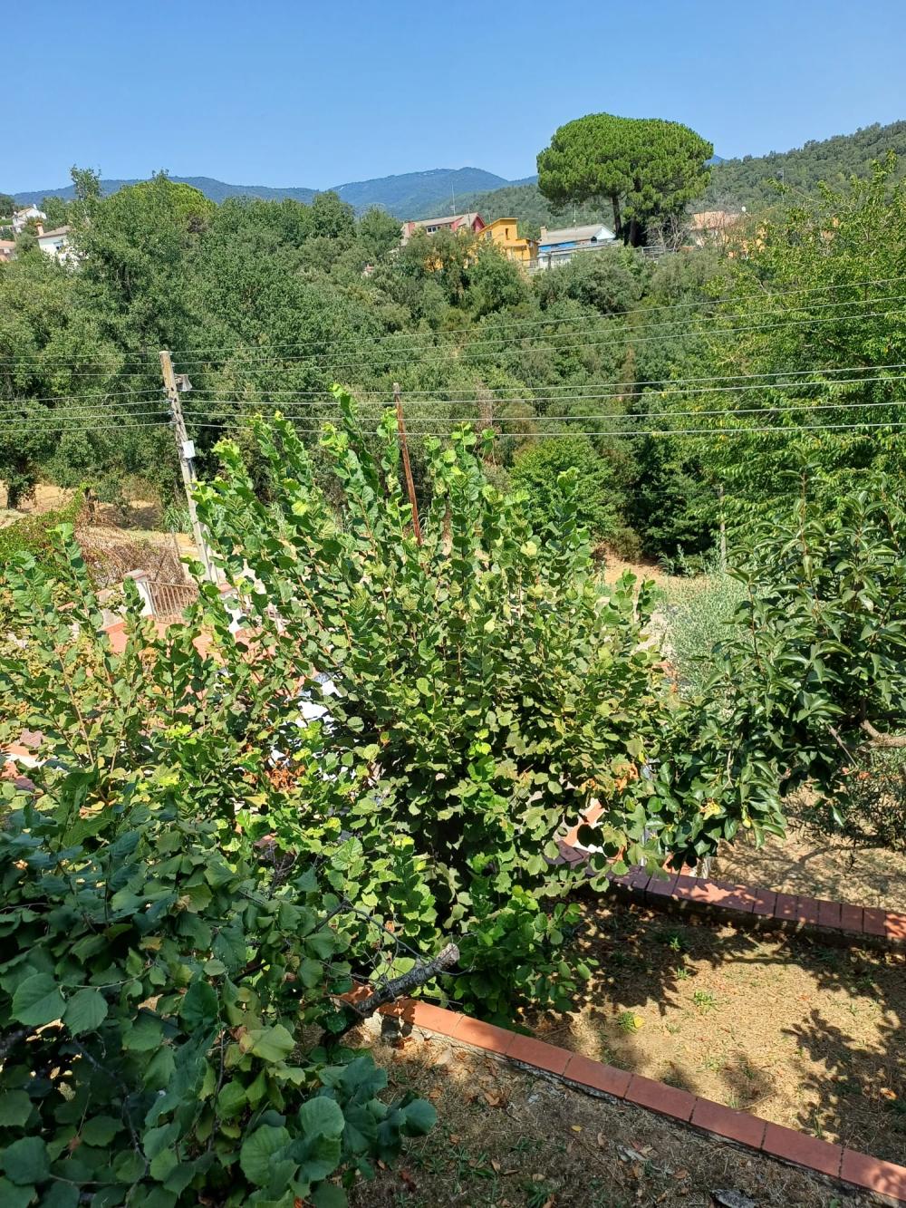  à vendre maison Riells I Viabrea Selva 11