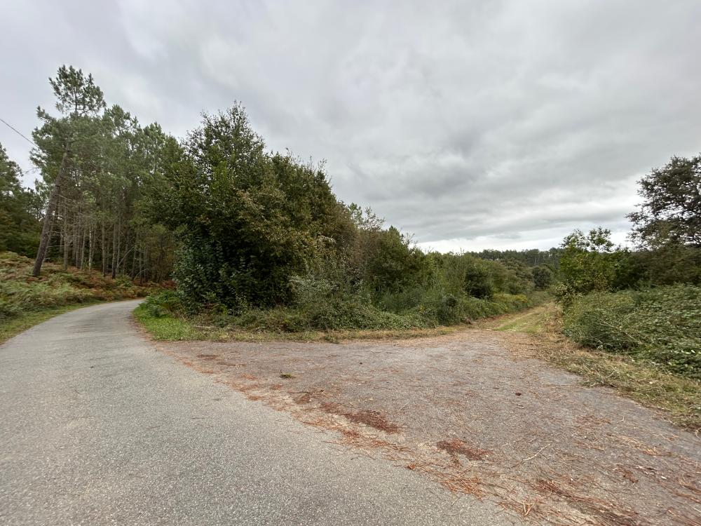  à vendre maison A Teixeira Terra Da Celanova 3