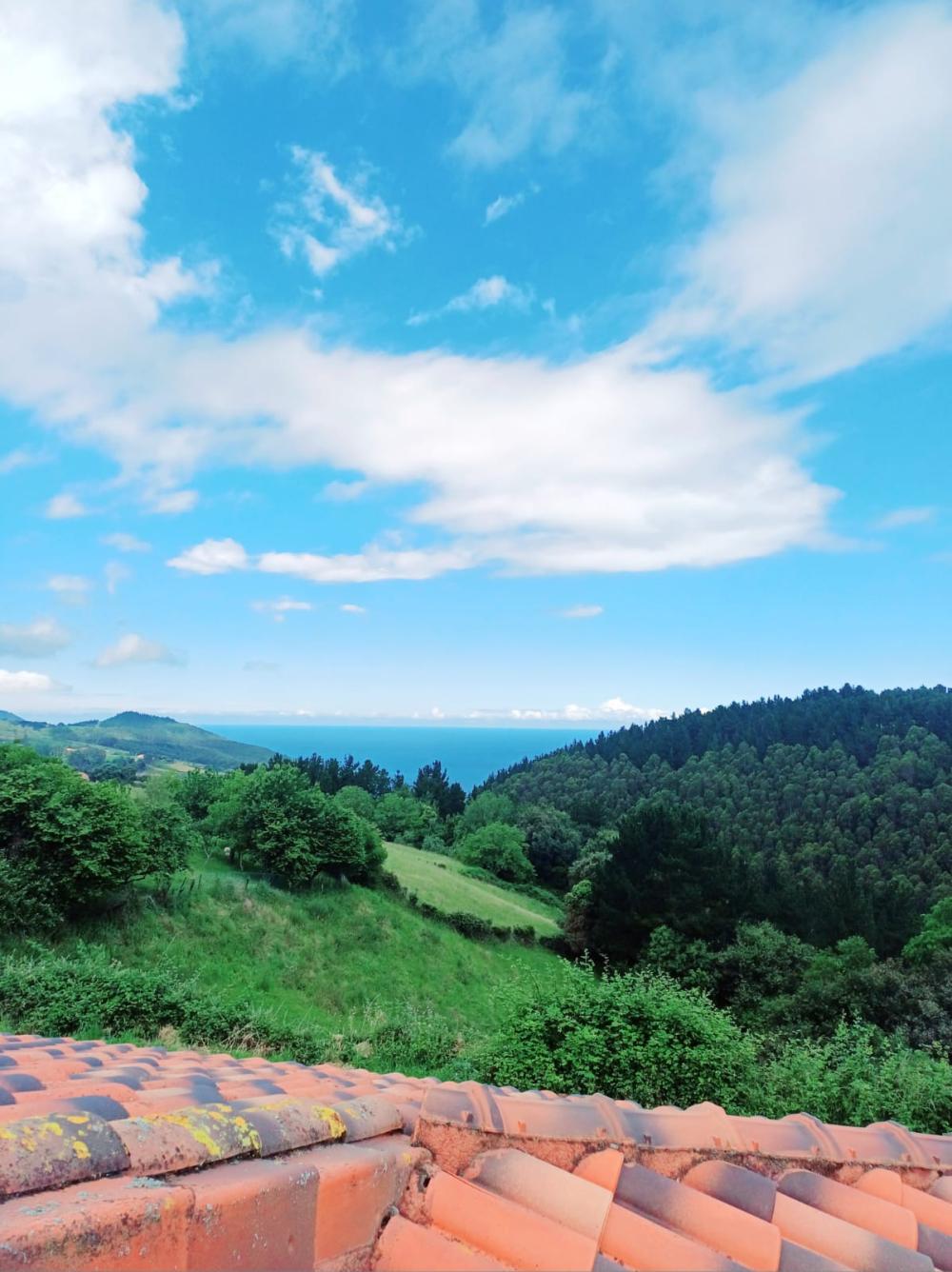  à vendre villa Asterrika Lea-Artibai 1