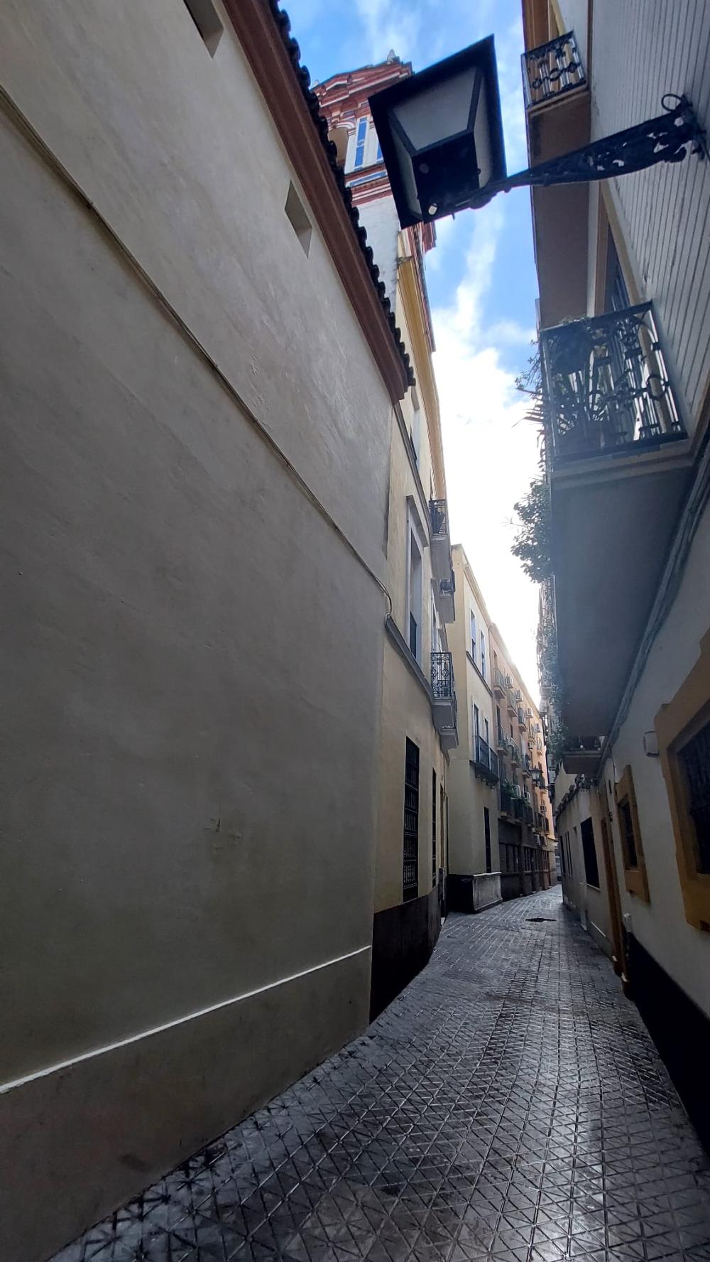  à vendre appartement Sevilla Casco Antiguo 41003 Metropolitana De Sevilla 39