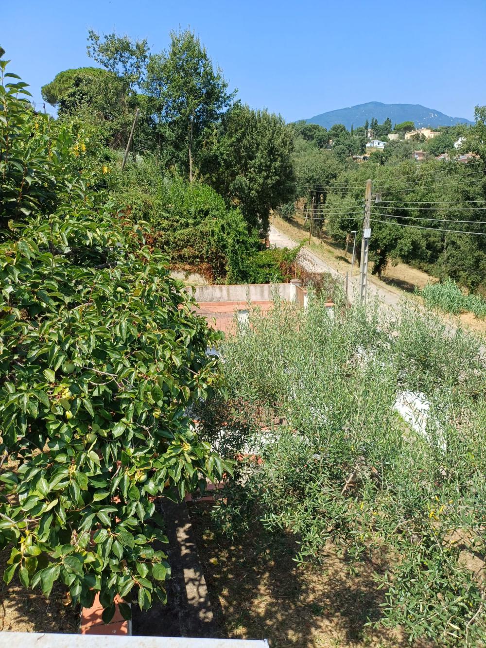  à vendre maison Riells I Viabrea Selva 10