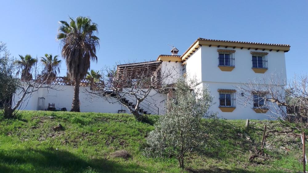  à vendre maison de campagne Monda Sierra De Las Nieves 30