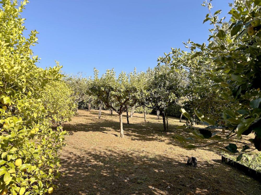 à vendre maison A Barcia Santiago 24