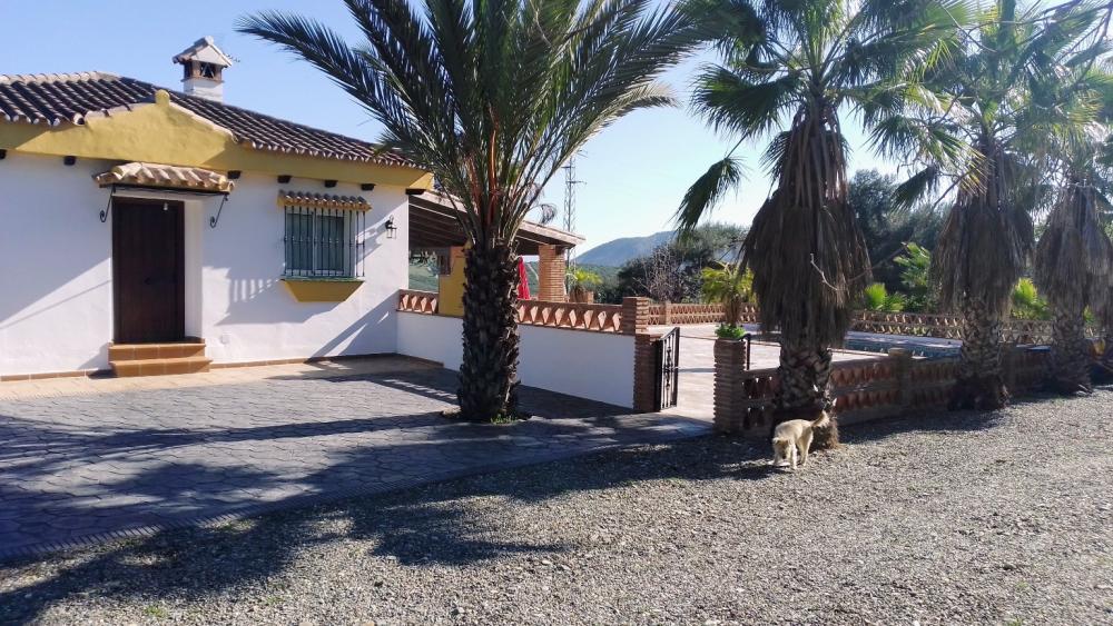  à vendre maison de campagne Monda Sierra De Las Nieves 5