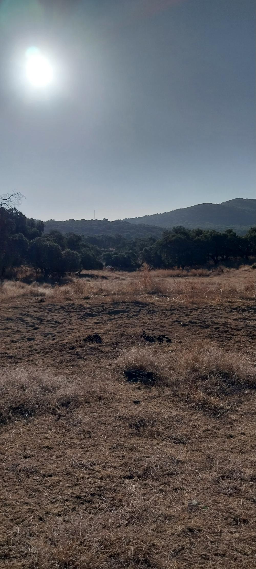  à vendre maison de campagne Valdezufre Sierra De Huelva 4