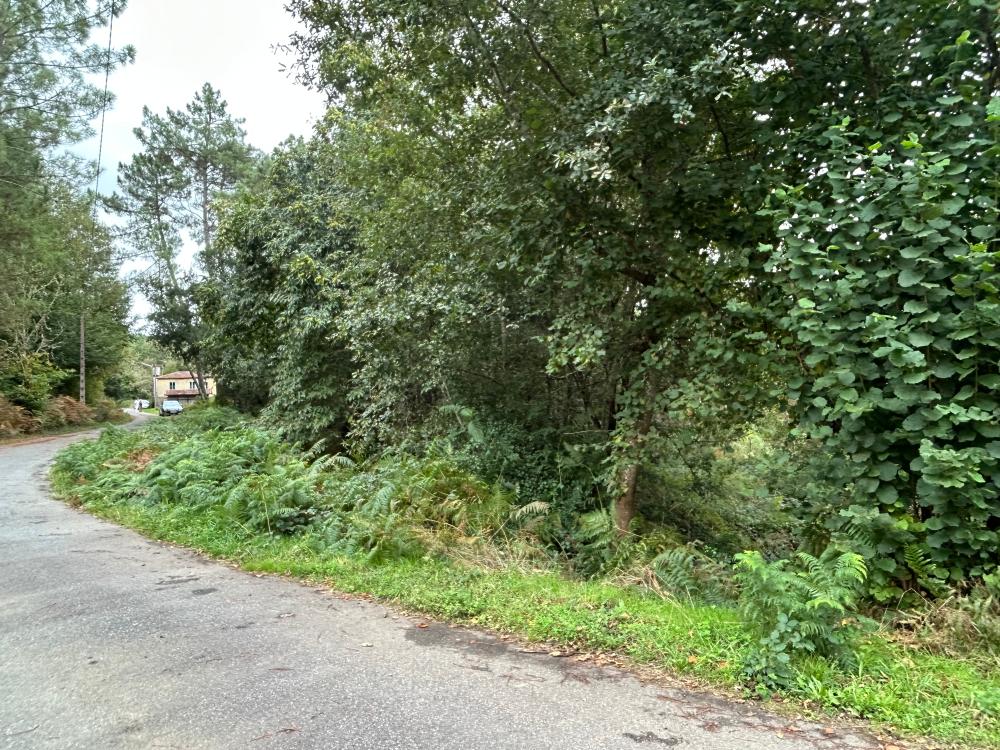  à vendre maison A Teixeira Terra Da Celanova 5