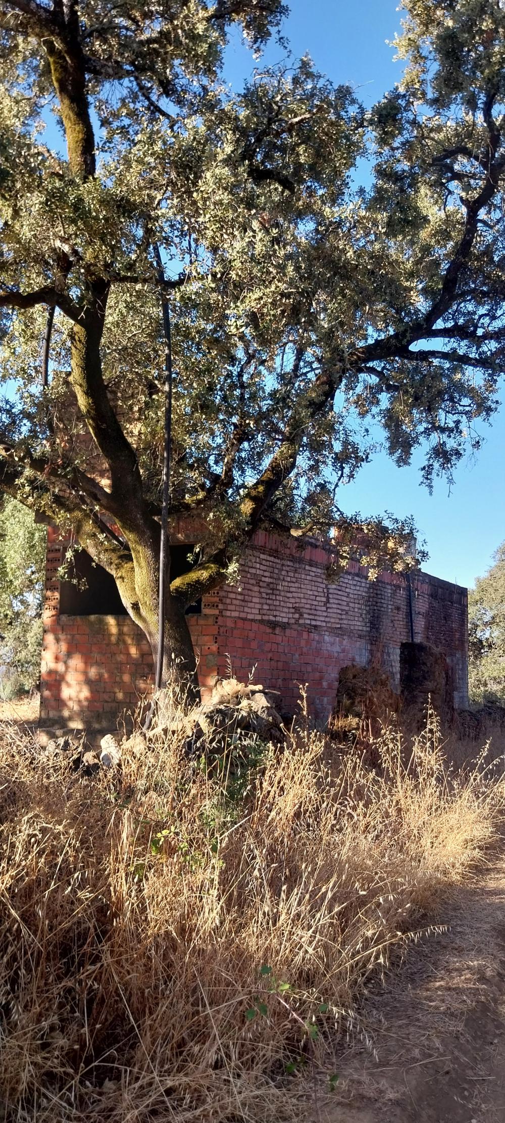 à vendre maison de campagne Valdezufre Sierra De Huelva 6