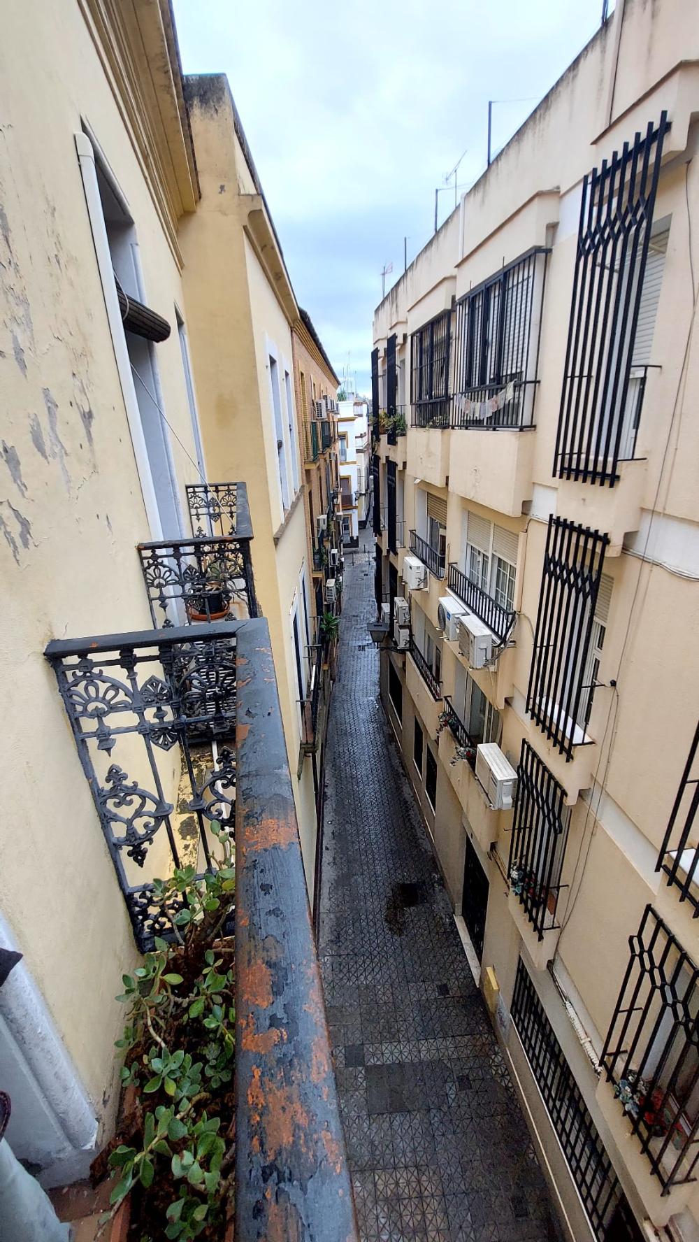  à vendre appartement Sevilla Casco Antiguo 41003 Metropolitana De Sevilla 19
