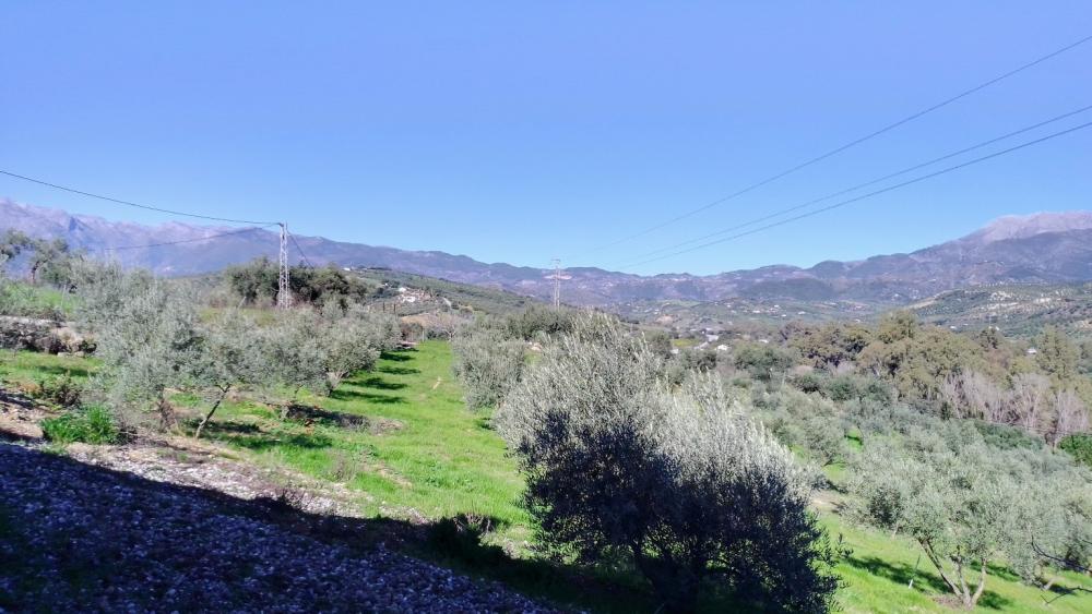  à vendre maison de campagne Monda Sierra De Las Nieves 24