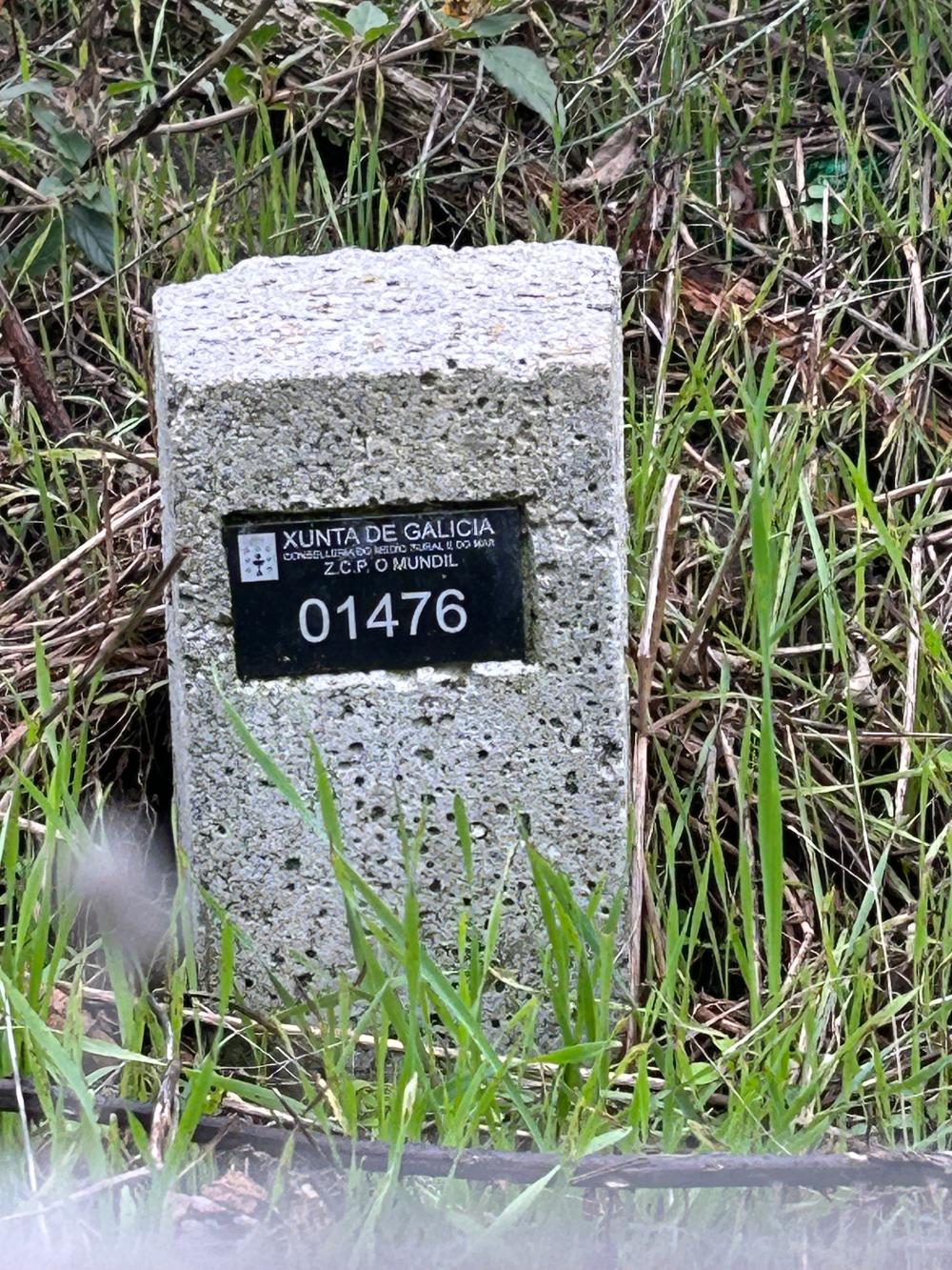  à vendre maison A Teixeira Terra Da Celanova 2