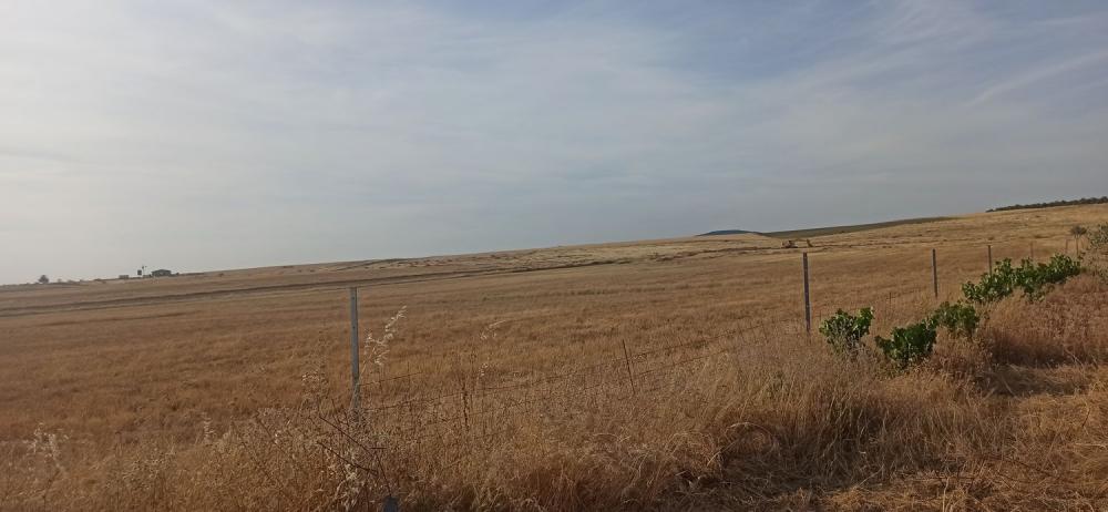  à vendre maison de campagne Mirandilla Merida 16