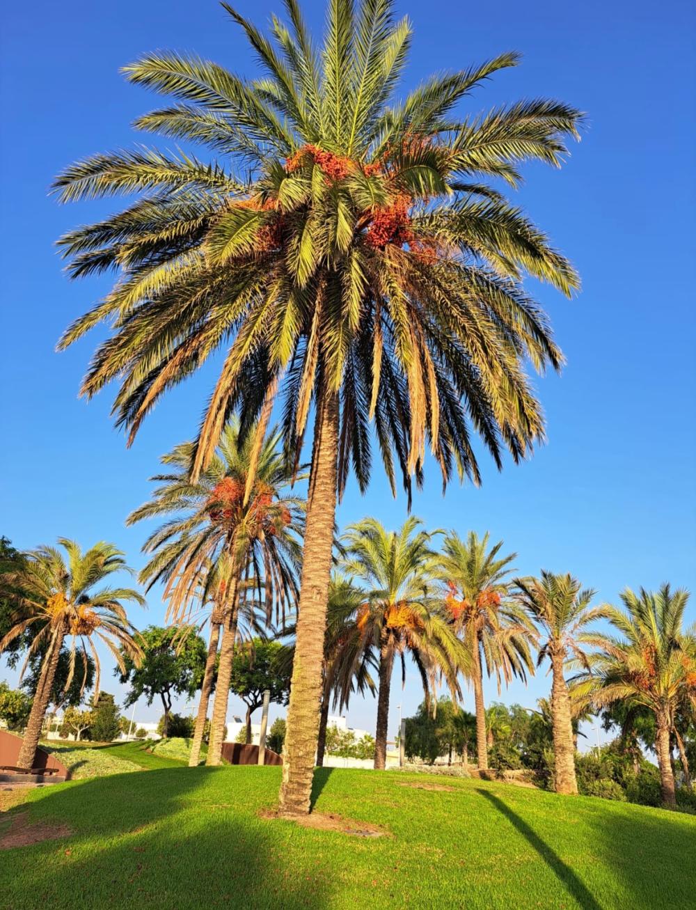  à vendre villa Retamar Comarca Metropolitana De Almería 31
