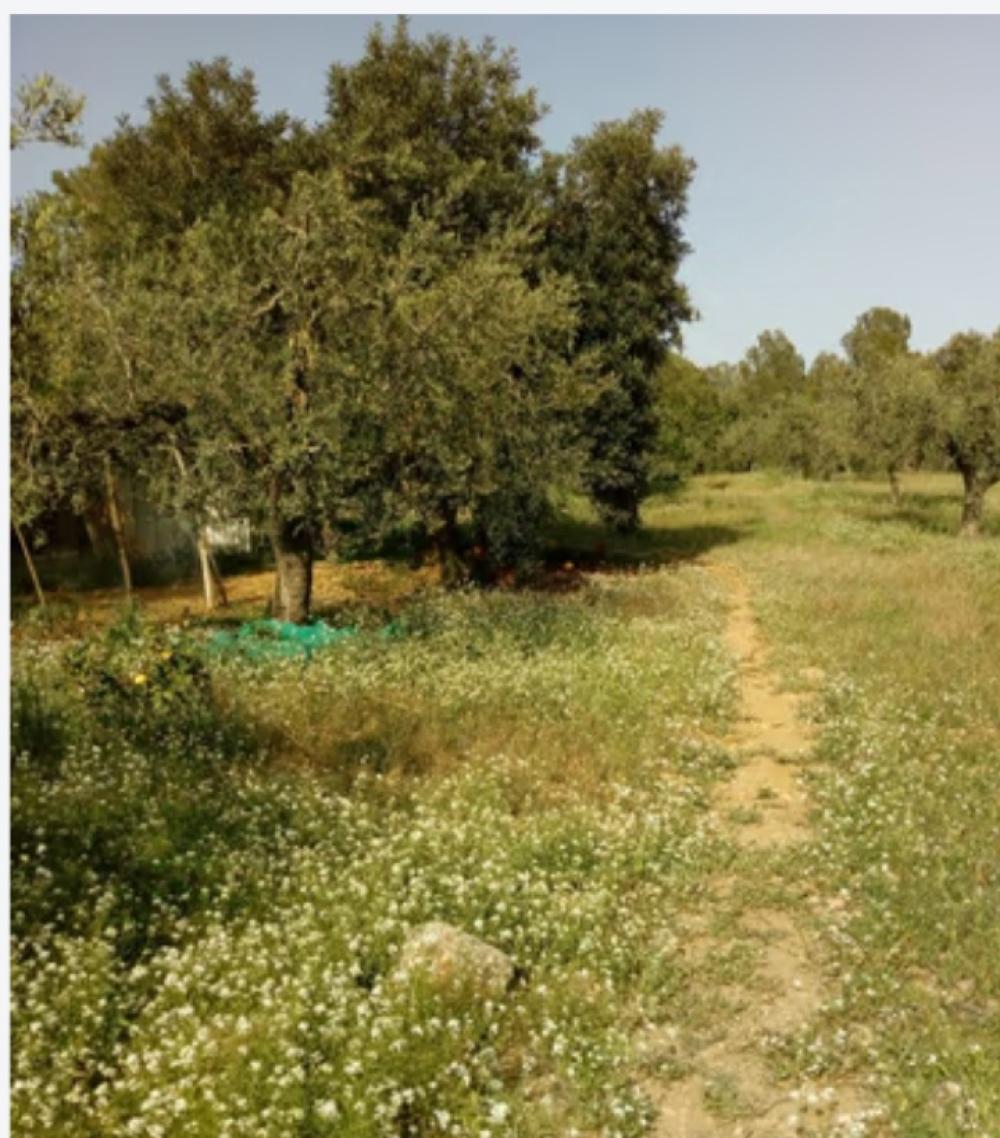  à vendre maison de campagne Mont-Roig Del Camp Baix Camp 2