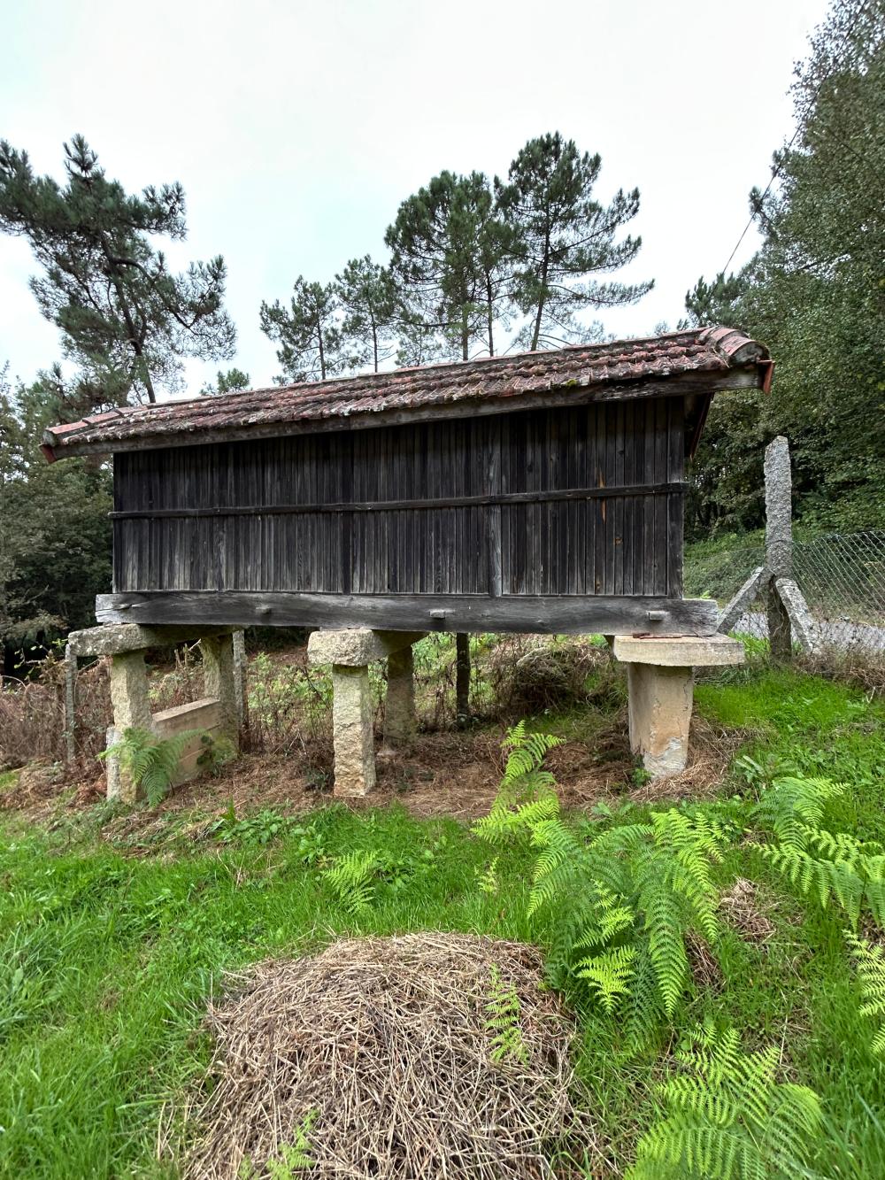  à vendre maison A Teixeira Terra Da Celanova 8