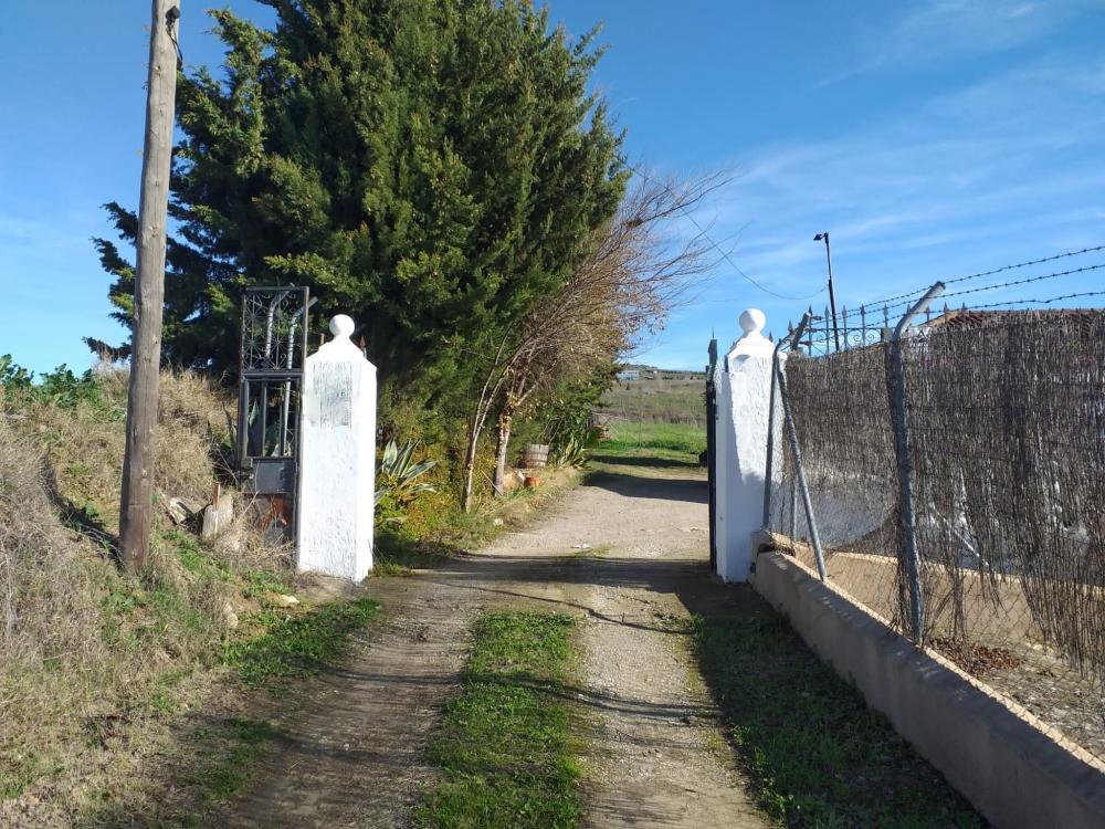  à vendre maison de campagne Arriate Serranía De Ronda 3