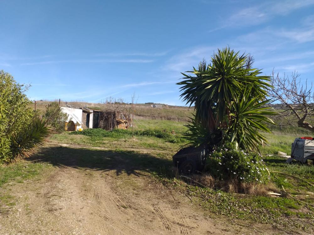  à vendre maison de campagne Arriate Serranía De Ronda 8