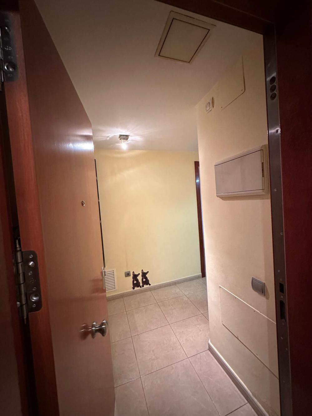  à vendre appartement Deltebre Baix Ebre 5