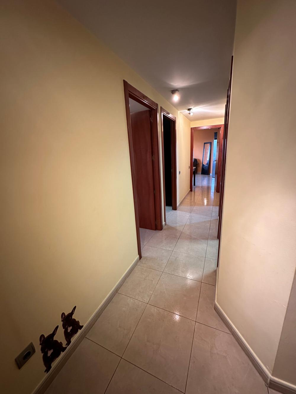 à vendre appartement Deltebre Baix Ebre 2