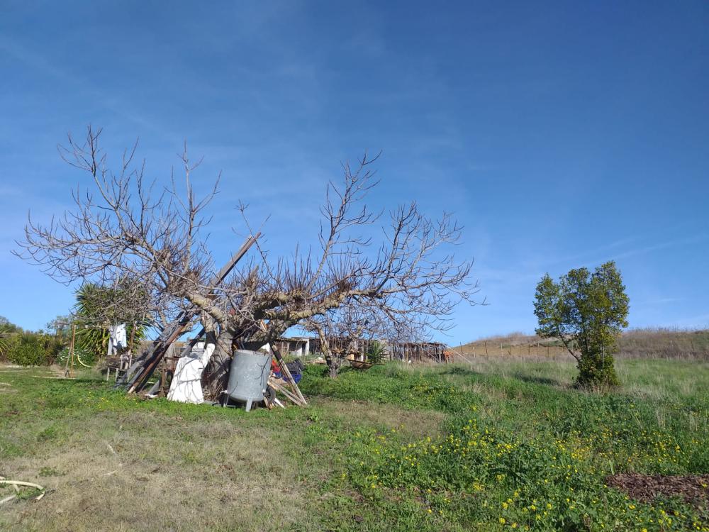  à vendre maison de campagne Arriate Serranía De Ronda 11