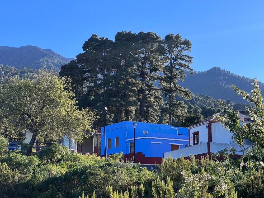  à vendre maison Roque Del Faro Palma (La) 25