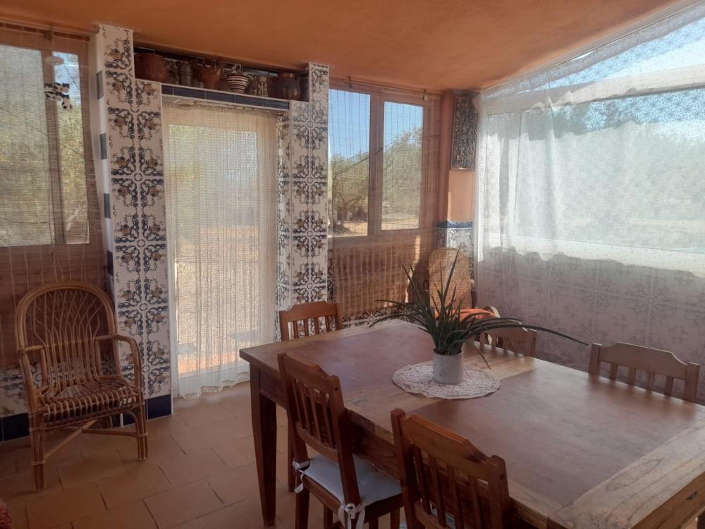  à vendre maison de campagne L'ampolla Baix Ebre 7