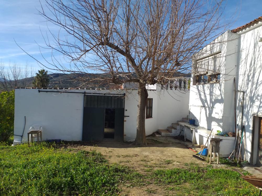  à vendre maison de campagne Arriate Serranía De Ronda 5