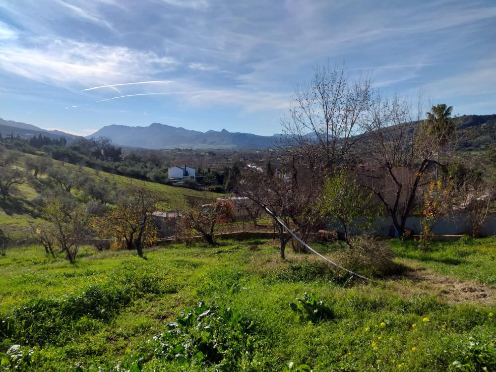  à vendre maison de campagne Arriate Serranía De Ronda 6