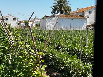 Barrio Roca Horta Nord maison de campagne foto 6078454