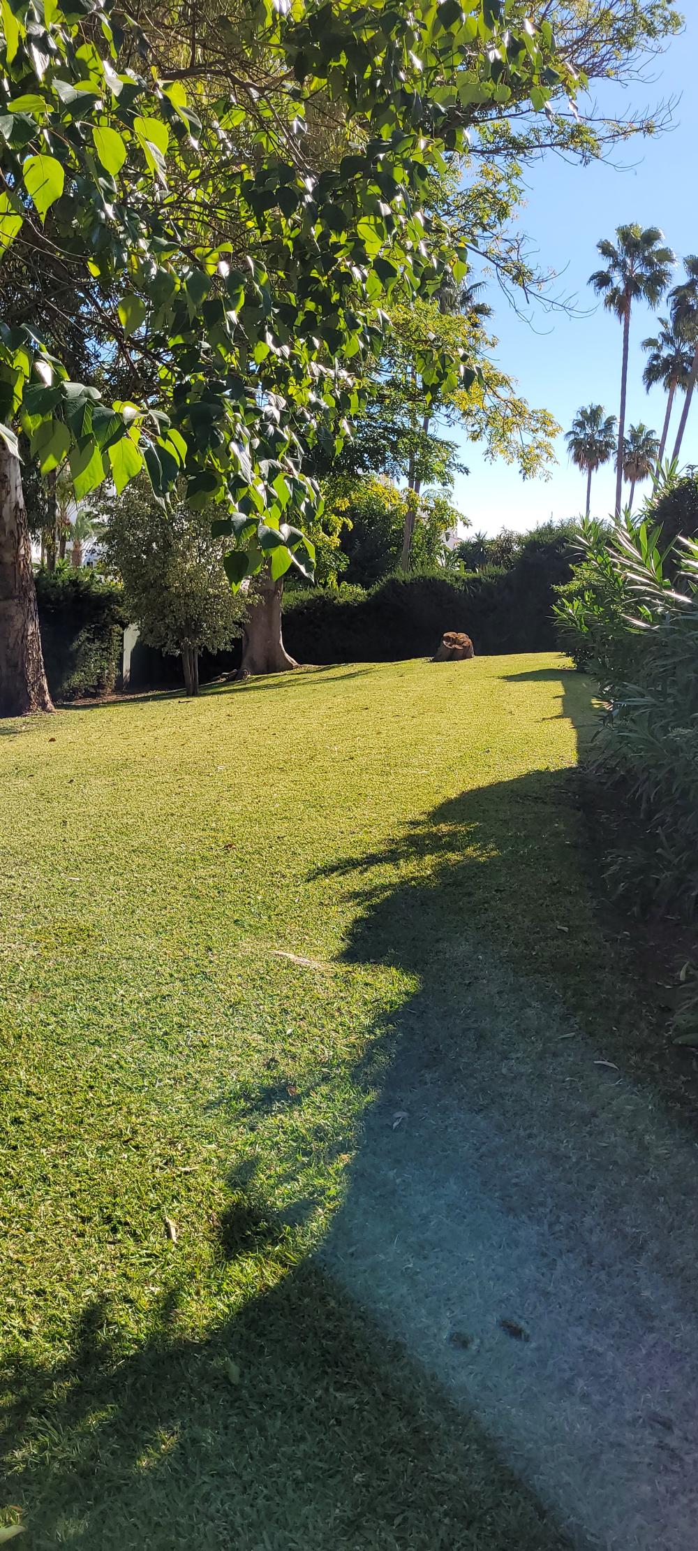 à vendre maison de ville Nueva Andalucía Costa Del Sol Occidental 28