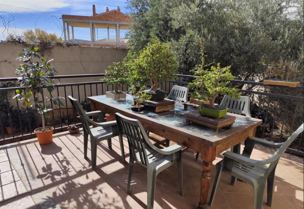  à vendre maison Tobarra Campos De Hellín 27
