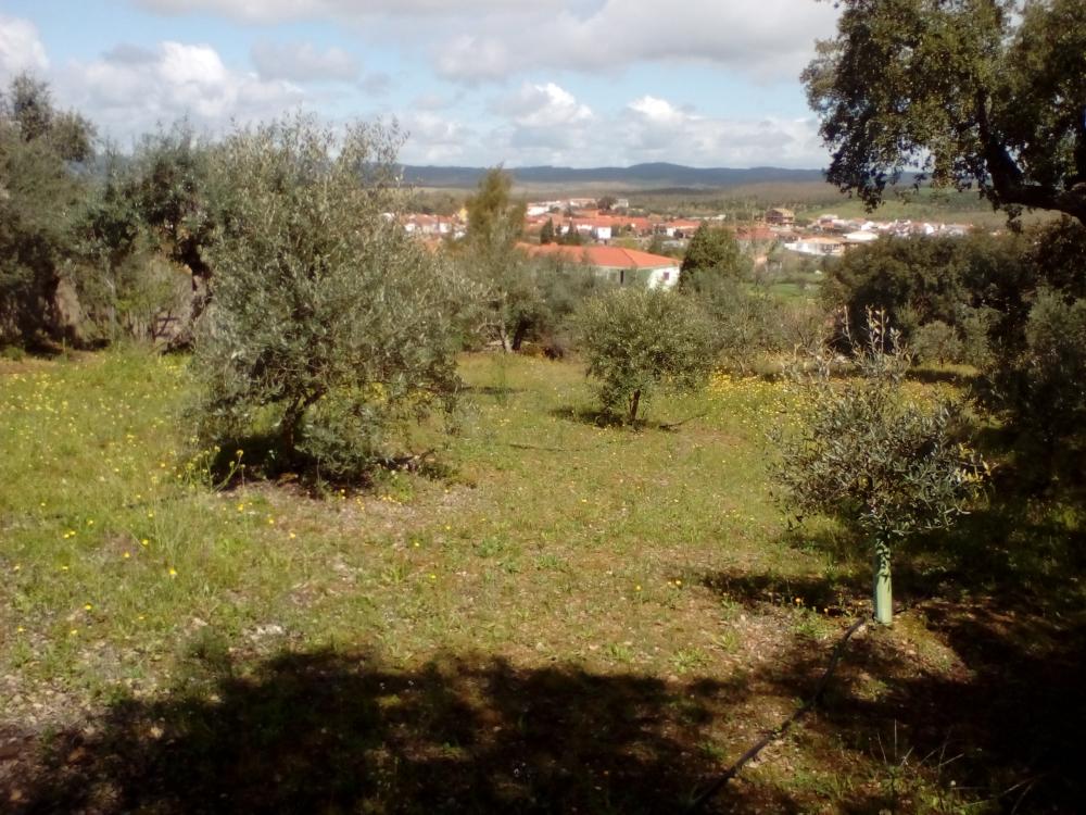  à vendre maison La Codosera Alburquerque 9