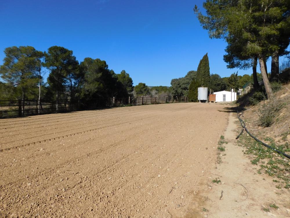  à vendre villa Guardiola De Font-Rubi Alt Penedès 6