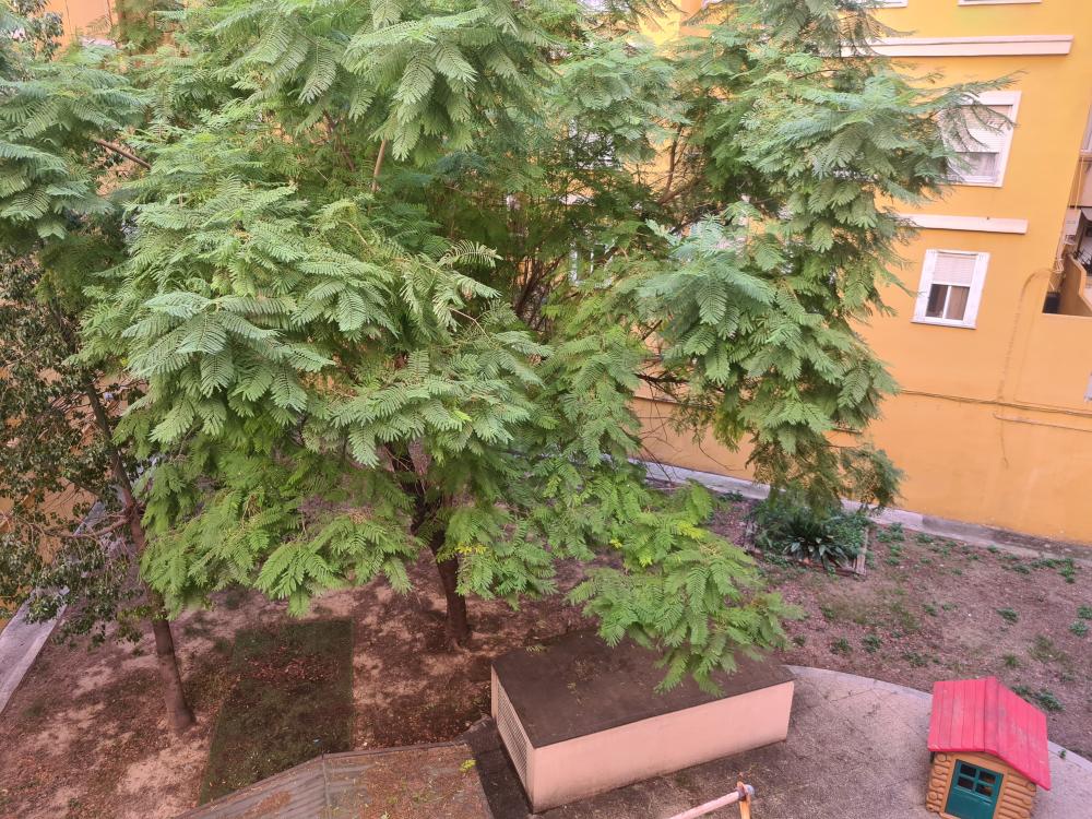  à vendre appartement L'eixample Russafa Valence 11