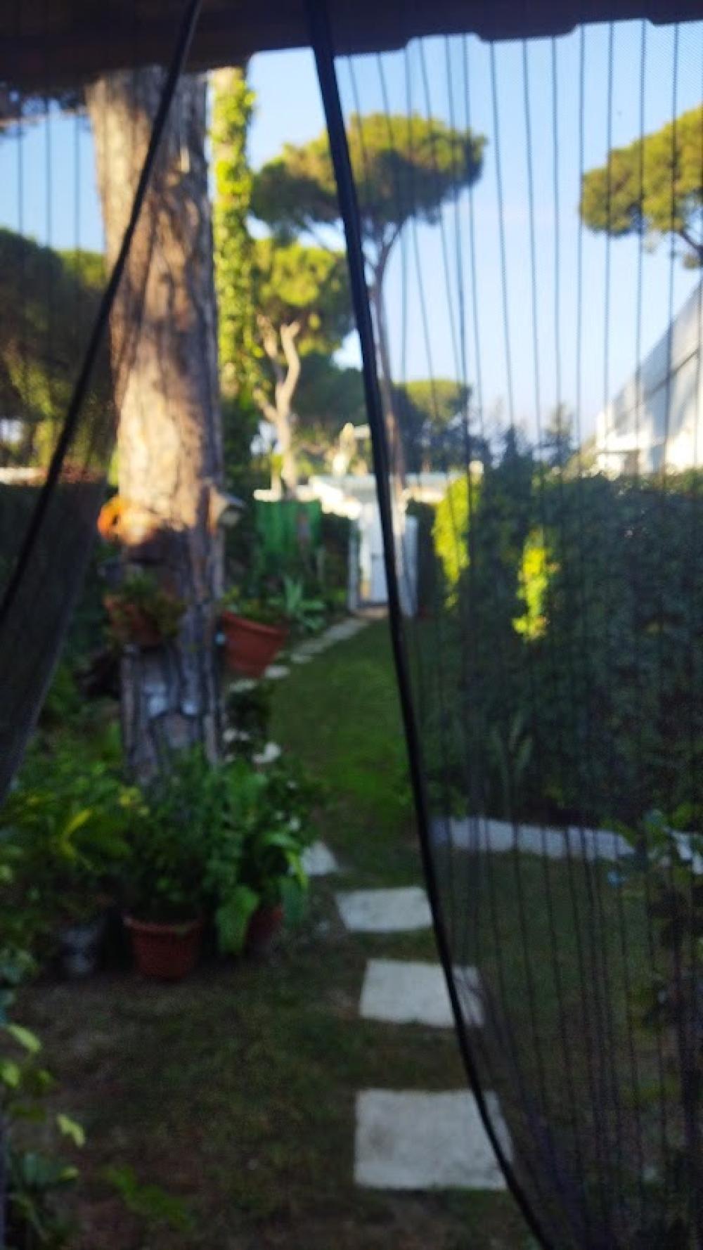  à vendre maison de campagne Chiclana De La Frontera Bahía De Cádiz 16