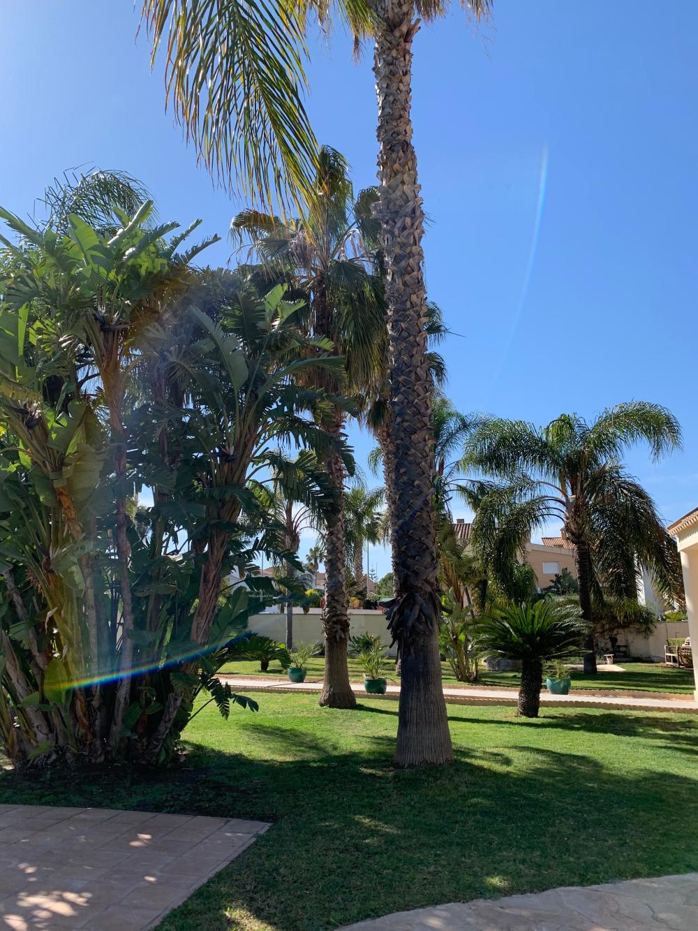  à vendre villa San Antonio De Benagéber Camp De Túria 101