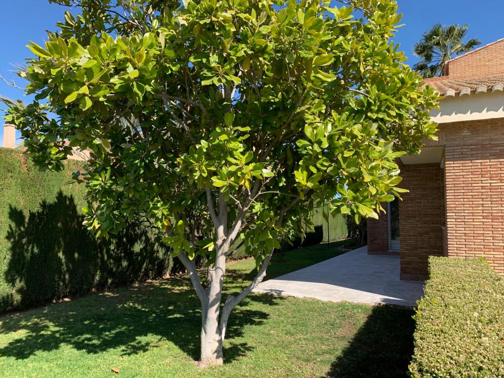  à vendre villa San Antonio De Benagéber Camp De Túria 91