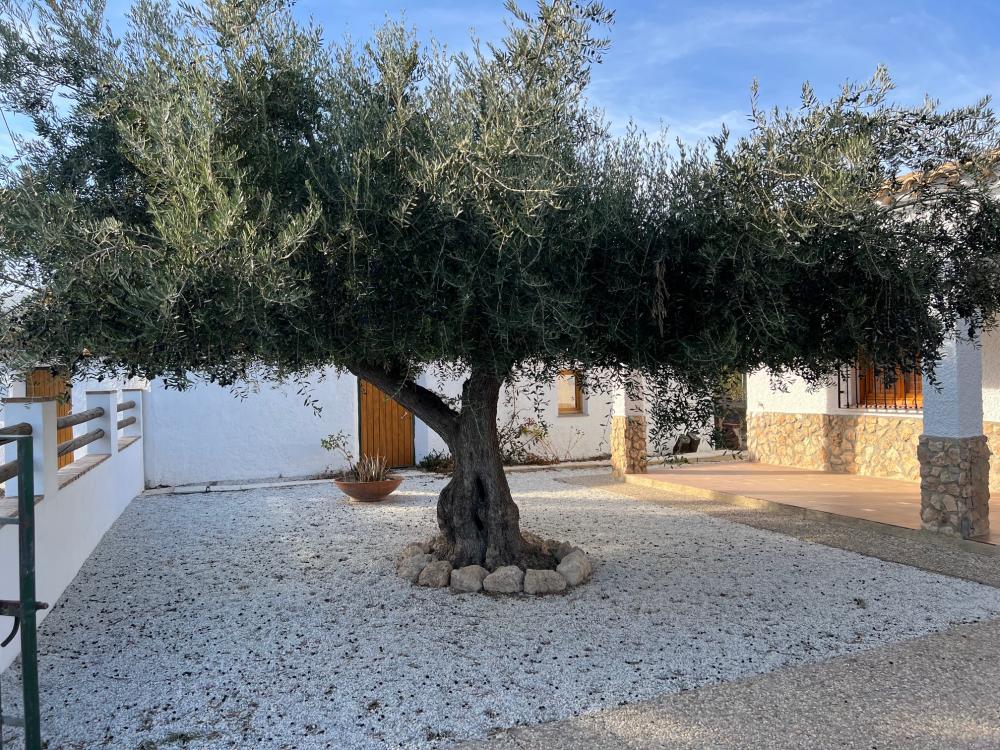  à vendre villa Vélez Blanco Comarca De Los Vélez 6